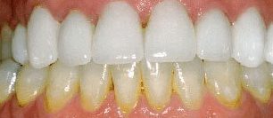 Screen-Shot-2021-08-26-at-11.47.48-AM