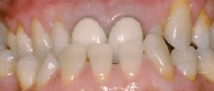 Screen-Shot-2021-08-26-at-11.48.39-AM